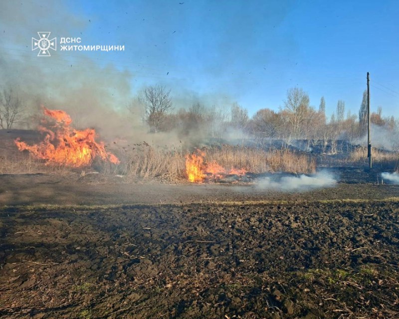 🔥На Житомирщині спроба спалити суху траву закінчилася госпіталізацією: у селі Студениця Житомирського району... 🔥На Житомирщині спроба спалити суху траву закінчилася госпіталізацією: у селі Студениця Житомирського району...