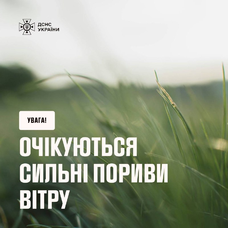 ❗️Увага, сильні пориви вітру до кінця доби очікуються в Україні
За прогнозами синоптиків Укргідрометцентру ❗️Увага, сильні пориви вітру до кінця доби очікуються в Україні
За прогнозами синоптиків Укргідрометцентру