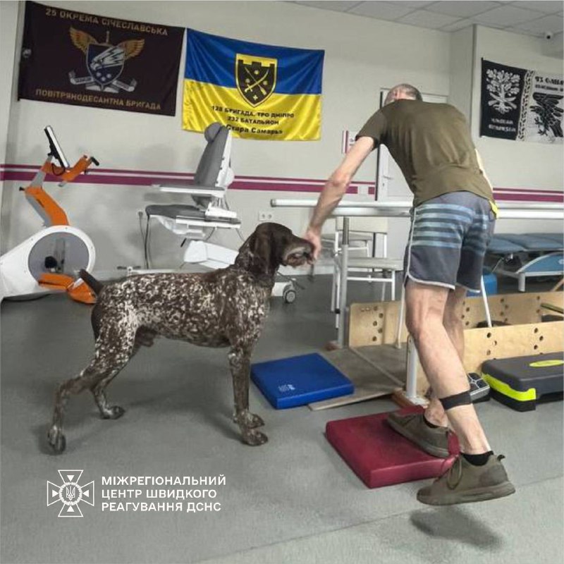 🐾 Курцхаар Джон та бельгійська вівчарка Міла з Міжрегіонального центру швидкого реагування ДСНС України 🐾 Курцхаар Джон та бельгійська вівчарка Міла з Міжрегіонального центру швидкого реагування ДСНС України
