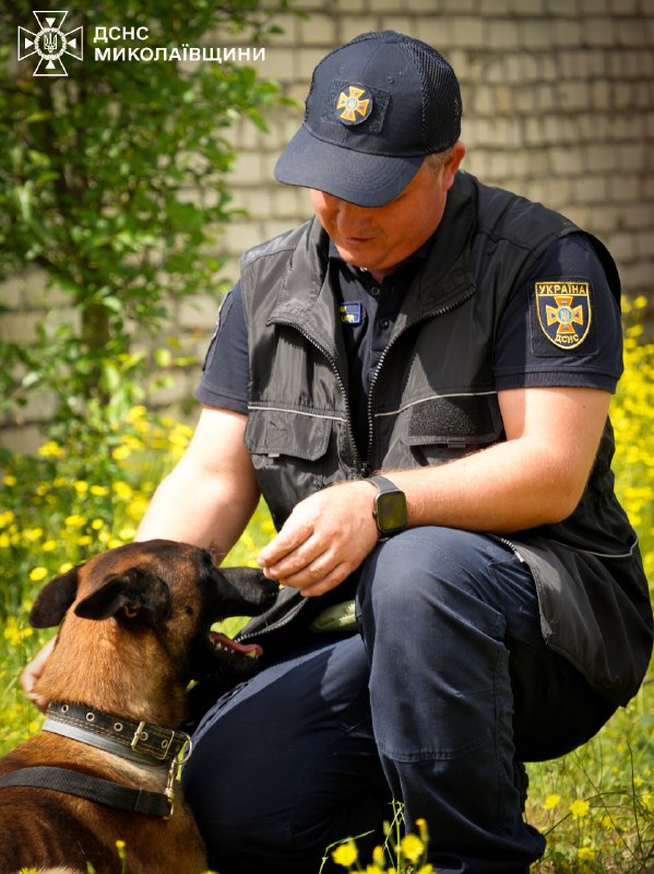 🐕 🐾 Знайомтеся — службовий собака-розміновувач Паша
❤️ Енергійний, кмітливий і дуже товариський пес став справжнім улюбленцем колег 🐕 🐾 Знайомтеся — службовий собака-розміновувач Паша
❤️ Енергійний, кмітливий і дуже товариський пес став справжнім улюбленцем колег