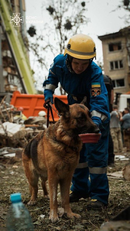 Сьогоднішній день — чергова чорна стрічка на серці всієї України 💔
Найболючіше — у Києві та Одесі Сьогоднішній день — чергова чорна стрічка на серці всієї України 💔
Найболючіше — у Києві та Одесі