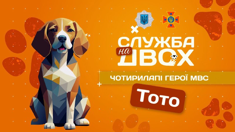 🐶«Служба на двох» — у новому випуску проєкту розповідаємо про Тото, єдиного бігля в системі ДСНС 🐶«Служба на двох» — у новому випуску проєкту розповідаємо про Тото, єдиного бігля в системі ДСНС