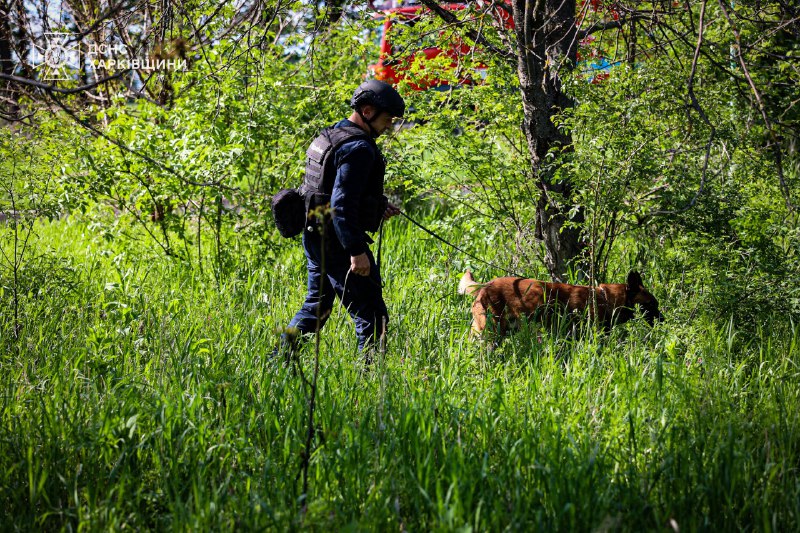 🐾На Харківщині працюють кінологічні розрахунки Міжрегіонального центру швидкого реагування ДСНС України 🐾На Харківщині працюють кінологічні розрахунки Міжрегіонального центру швидкого реагування ДСНС України