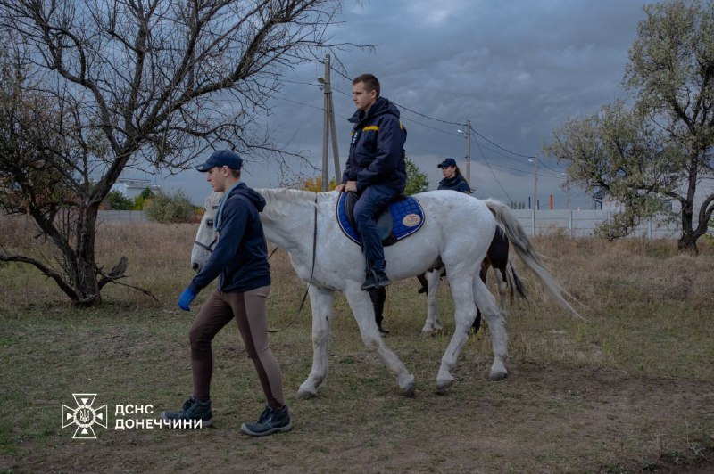 🐎 Іпотерапія як шлях до відновлення
Психологічна підтримка рятувальників Донеччини — важлива складова турботи про тих 🐎 Іпотерапія як шлях до відновлення
Психологічна підтримка рятувальників Донеччини — важлива складова турботи про тих