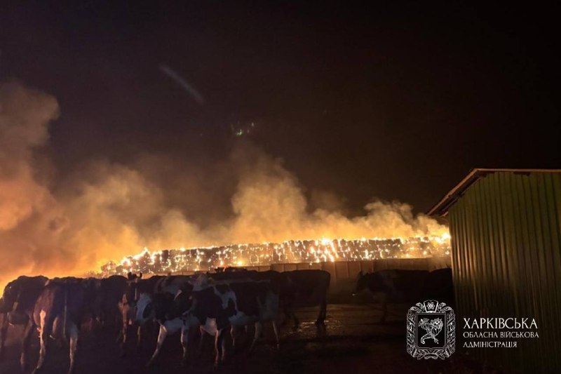 📍 Протягом минулої доби ворожих ударів зазнали 15 населених пунктів Харківської області.
▪️Внаслідок обстрілів загинули 10 людей 📍 Протягом минулої доби ворожих ударів зазнали 15 населених пунктів Харківської області.
▪️Внаслідок обстрілів загинули 10 людей