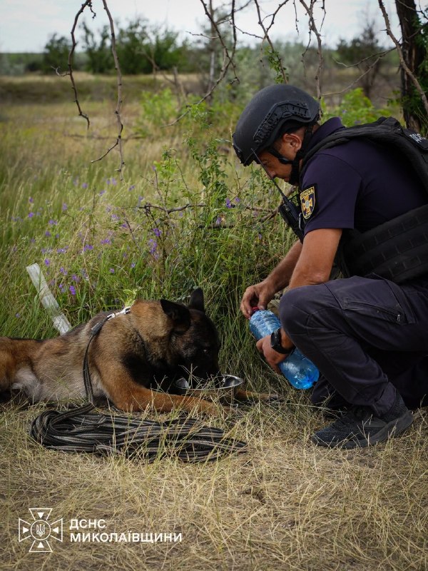 🐕Сьогодні — Міжнародний день собак. Це чудова нагода розповісти про тих, хто пліч-о-пліч із рятувальниками працює там 🐕Сьогодні — Міжнародний день собак. Це чудова нагода розповісти про тих, хто пліч-о-пліч із рятувальниками працює там