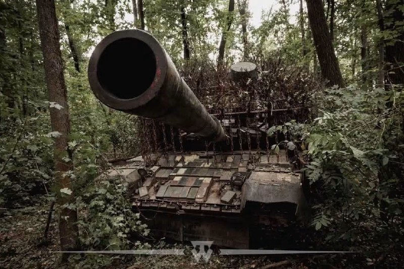 Головне на Луганщині за добу
📌У шістьох випадках противник намагався поцілити із мінометних установок на Луганщині минулої доби Головне на Луганщині за добу
📌У шістьох випадках противник намагався поцілити із мінометних установок на Луганщині минулої доби