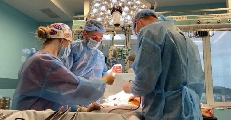 🧑⚕️ Сьогодні Україна відзначає День медичних працівників — свято тих, хто обрав шлях служіння найвищій цінності 🧑⚕️ Сьогодні Україна відзначає День медичних працівників — свято тих, хто обрав шлях служіння найвищій цінності