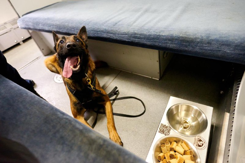 Укрзалізниця підготувала 100 «Вагонів незламності» у відповідь на знеструмлення по всій країні
🤝Укрзалізниця за допомогою партнерів Укрзалізниця підготувала 100 «Вагонів незламності» у відповідь на знеструмлення по всій країні
🤝Укрзалізниця за допомогою партнерів