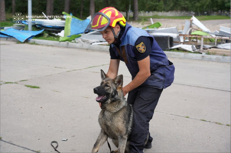 🐕Як тренується майбутня чотирилапа рятувальниця ДСНС Ася
Попри свій юний вік, вона вже демонструє витримку 🐕Як тренується майбутня чотирилапа рятувальниця ДСНС Ася
Попри свій юний вік, вона вже демонструє витримку