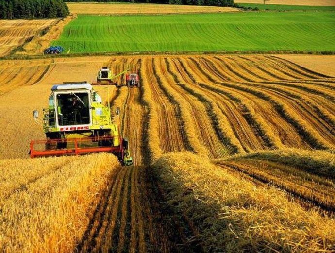 Наші фермери - це люди, які під час війни тримають на собі продовольчу та фінансову стабільність країни Наші фермери - це люди, які під час війни тримають на собі продовольчу та фінансову стабільність країни