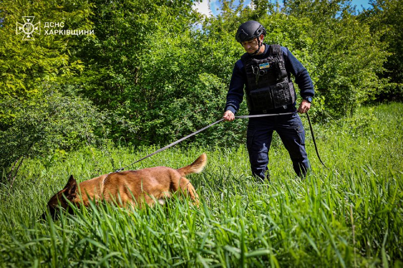 🐾На Харківщині працюють кінологічні розрахунки Міжрегіонального центру швидкого реагування ДСНС України 🐾На Харківщині працюють кінологічні розрахунки Міжрегіонального центру швидкого реагування ДСНС України