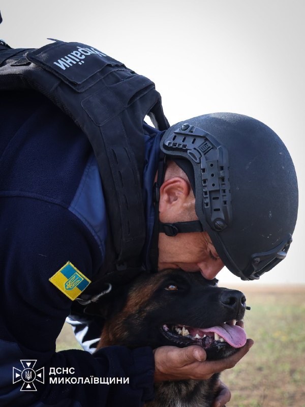 🐕Сьогодні — Міжнародний день собак. Це чудова нагода розповісти про тих, хто пліч-о-пліч із рятувальниками працює там 🐕Сьогодні — Міжнародний день собак. Це чудова нагода розповісти про тих, хто пліч-о-пліч із рятувальниками працює там