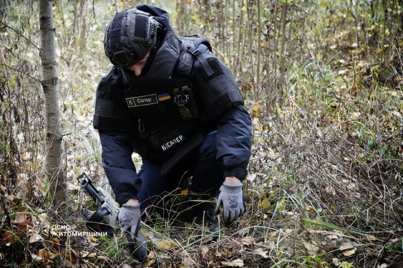 💥Під золотим килимом опалого листя можуть ховатися смертельно небезпечні міни та боєприпаси 💥Під золотим килимом опалого листя можуть ховатися смертельно небезпечні міни та боєприпаси