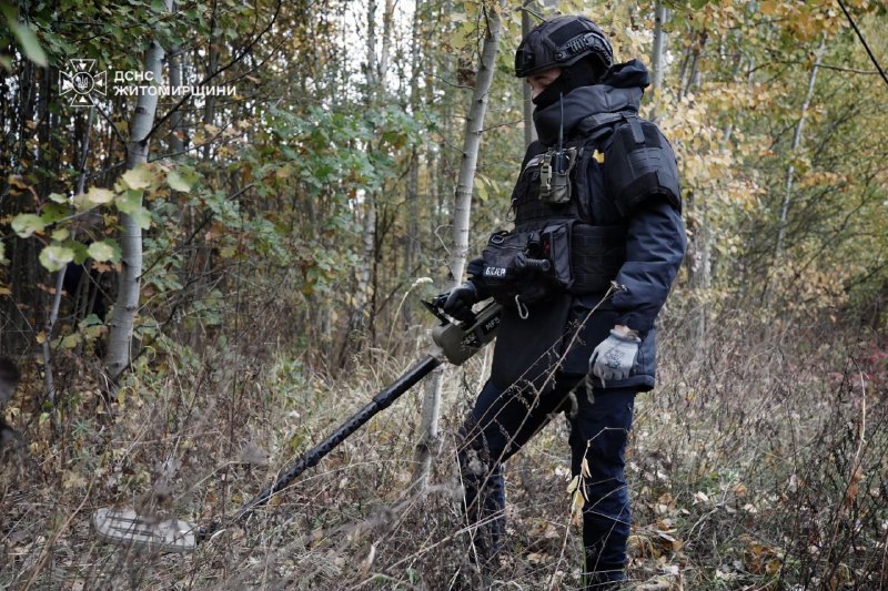 💥Під золотим килимом опалого листя можуть ховатися смертельно небезпечні міни та боєприпаси 💥Під золотим килимом опалого листя можуть ховатися смертельно небезпечні міни та боєприпаси