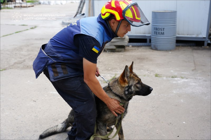 🐕Як тренується майбутня чотирилапа рятувальниця ДСНС Ася
Попри свій юний вік, вона вже демонструє витримку 🐕Як тренується майбутня чотирилапа рятувальниця ДСНС Ася
Попри свій юний вік, вона вже демонструє витримку