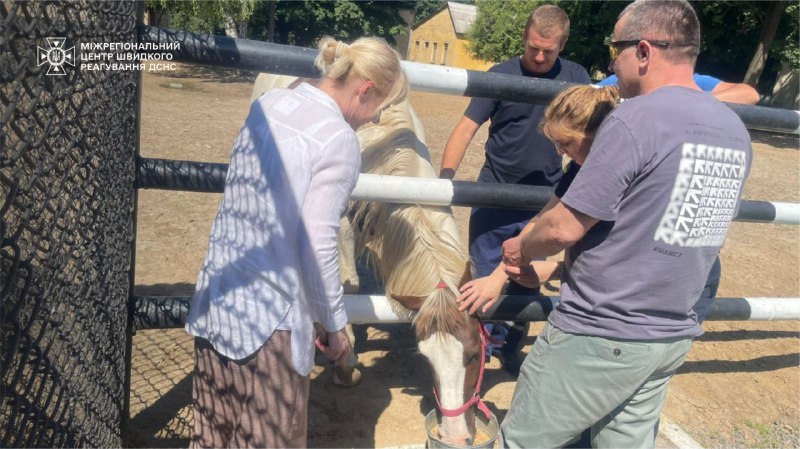 🔻У лавах ДСНС України завжди панує особливе братерство. Тут не забувають тих, хто вже зняв форму 🔻У лавах ДСНС України завжди панує особливе братерство. Тут не забувають тих, хто вже зняв форму