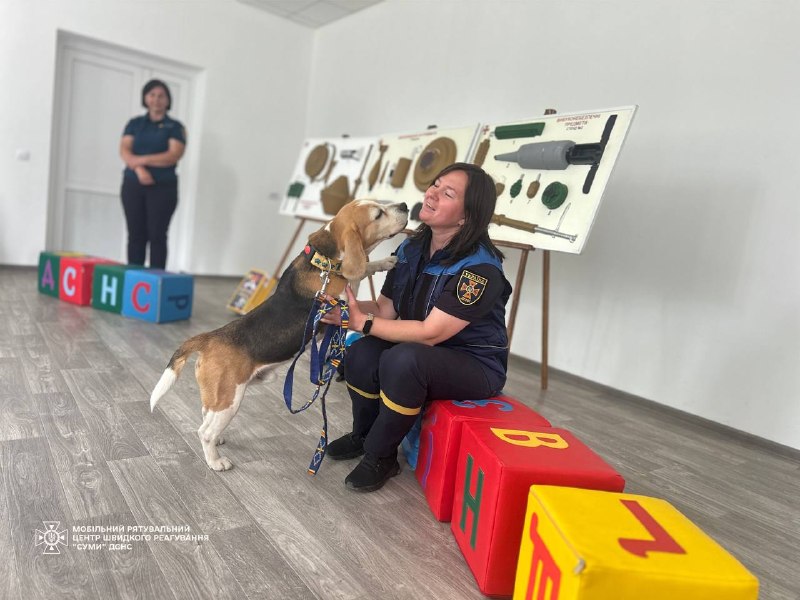 🐕 Рятувальники разом із чотирилапим помічником Тото завітали до юннатів гуртка «Природа навколо нас» 🐕 Рятувальники разом із чотирилапим помічником Тото завітали до юннатів гуртка «Природа навколо нас»