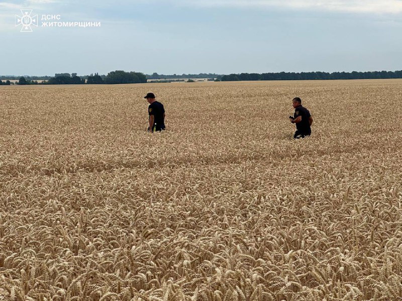 ❗️Житомирщина: зниклу 3-річну дівчинку знайшли у лісі
Понад 100 людей — рятувальники ❗️Житомирщина: зниклу 3-річну дівчинку знайшли у лісі
Понад 100 людей — рятувальники