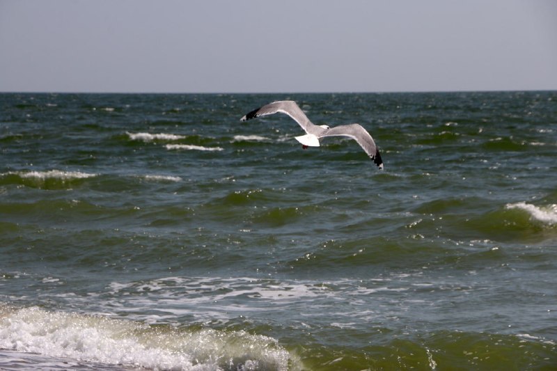 ❗️Солоність Азовського моря стала найвищою за понад 70 років
☝️🌊У 2026 році рівень солоності сягнув 15–16,8 проміле ❗️Солоність Азовського моря стала найвищою за понад 70 років
☝️🌊У 2026 році рівень солоності сягнув 15–16,8 проміле