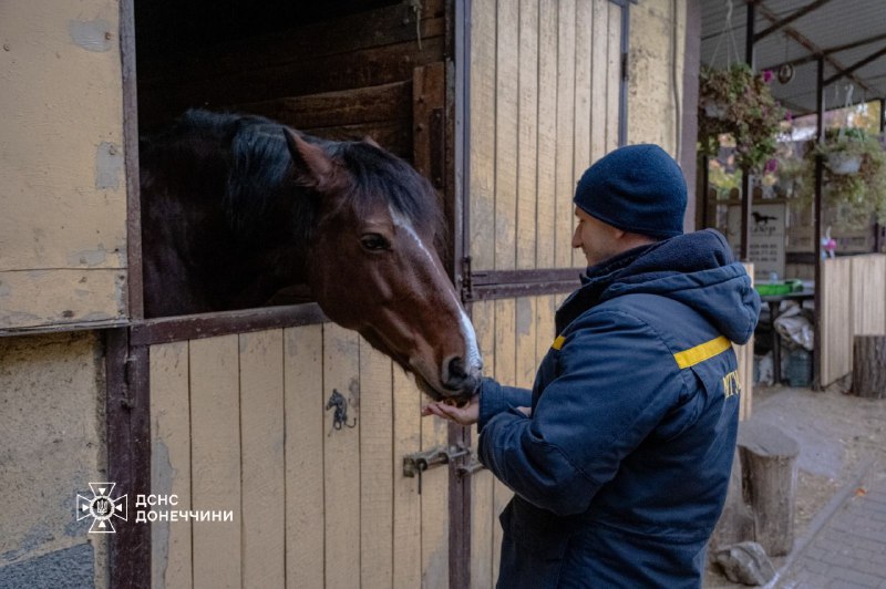 🐎 Іпотерапія як шлях до відновлення
Психологічна підтримка рятувальників Донеччини — важлива складова турботи про тих 🐎 Іпотерапія як шлях до відновлення
Психологічна підтримка рятувальників Донеччини — важлива складова турботи про тих