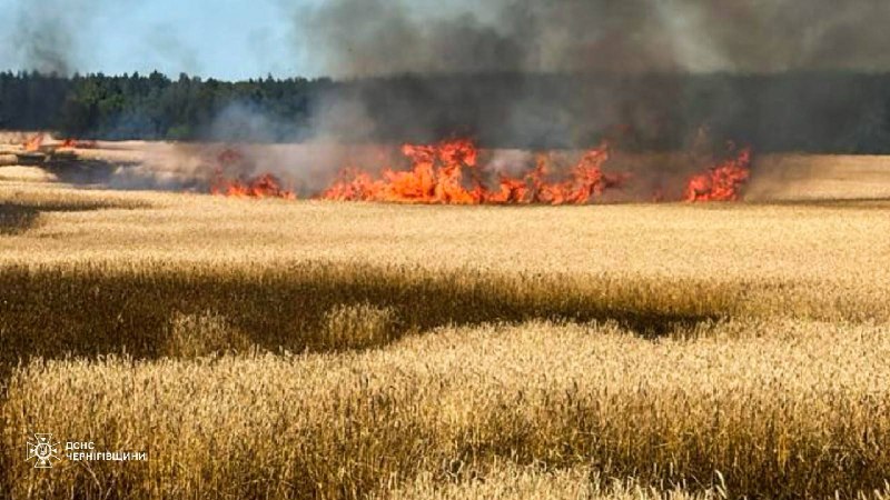 Шестеро людей постраждали через ворожі удари по Чернігівщині лише за минулу добу Шестеро людей постраждали через ворожі удари по Чернігівщині лише за минулу добу
