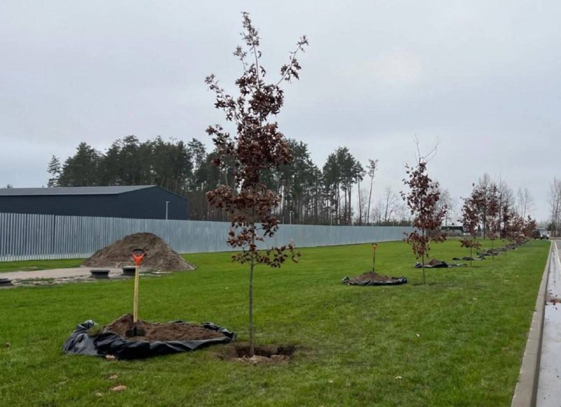 💔Мати загиблого захисника Маріуполя започаткувала алею пам’яті
🪖Міністерство у справах ветеранів України... 💔Мати загиблого захисника Маріуполя започаткувала алею пам’яті
🪖Міністерство у справах ветеранів України...