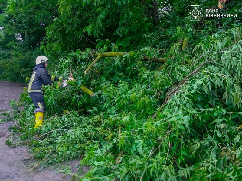 ⛈ Негода в Україні: рятувальники ліквідовують наслідки стихії!
Сильні дощі та шквальний вітер наробили лиха у Києві ⛈ Негода в Україні: рятувальники ліквідовують наслідки стихії!
Сильні дощі та шквальний вітер наробили лиха у Києві