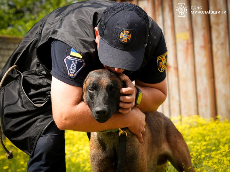 🐕 🐾 Знайомтеся — службовий собака-розміновувач Паша
❤️ Енергійний, кмітливий і дуже товариський пес став справжнім улюбленцем колег 🐕 🐾 Знайомтеся — службовий собака-розміновувач Паша
❤️ Енергійний, кмітливий і дуже товариський пес став справжнім улюбленцем колег
