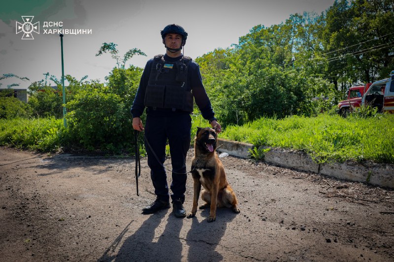 🐾На Харківщині працюють кінологічні розрахунки Міжрегіонального центру швидкого реагування ДСНС України 🐾На Харківщині працюють кінологічні розрахунки Міжрегіонального центру швидкого реагування ДСНС України
