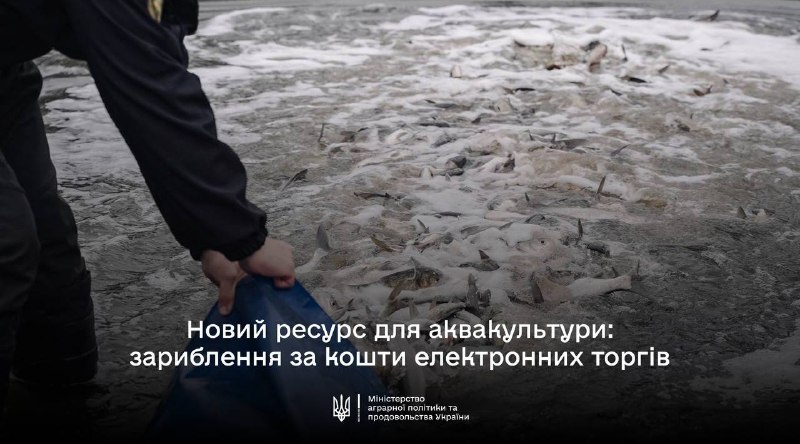 Рибне господарство з державною підтримкою: старт нової програми
Уряд запровадив новий механізм підтримки... Рибне господарство з державною підтримкою: старт нової програми
Уряд запровадив новий механізм підтримки...