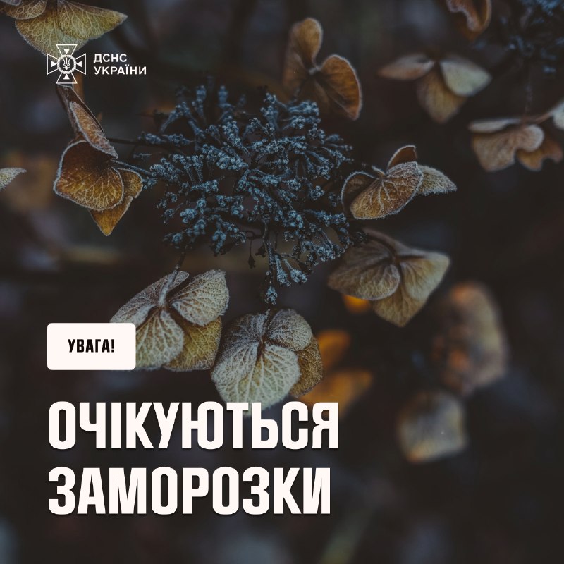 ❗Увага, заморозки! ❄
За даними Укргідрометцентру вночі 1 - 3 жовтня у західних, північних, Вінницькій, Черкаській, Полтавській ❗Увага, заморозки! ❄
За даними Укргідрометцентру вночі 1 - 3 жовтня у західних, північних, Вінницькій, Черкаській, Полтавській