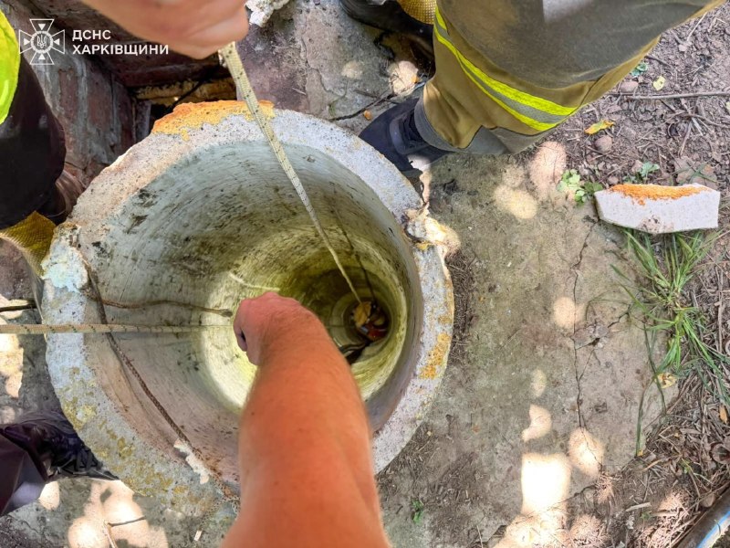 #Харківщина: рятувальники разом із поліцейськими дістали 4-річного хлопчика, який впав у дворовий колодязь у місті Валки Богодухівського району #Харківщина: рятувальники разом із поліцейськими дістали 4-річного хлопчика, який впав у дворовий колодязь у місті Валки Богодухівського району