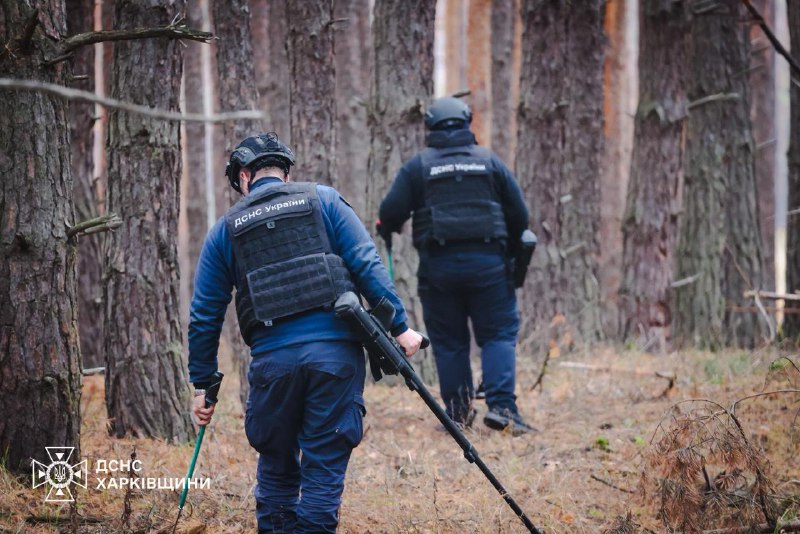 #Харківщина: щодня сапери ДСНС проводять обстеження та очищення лісових масивів, сільськогосподарських угідь... #Харківщина: щодня сапери ДСНС проводять обстеження та очищення лісових масивів, сільськогосподарських угідь...