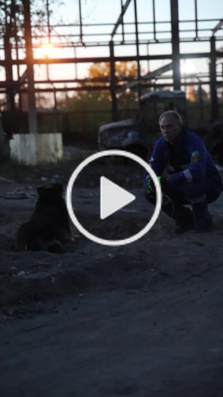 🐕🦺 Джессі знайшла сім’ю!
Відтепер вона частина великої родини рятувальників ДСНС. 🐕🦺 Джессі знайшла сім’ю!
Відтепер вона частина великої родини рятувальників ДСНС.