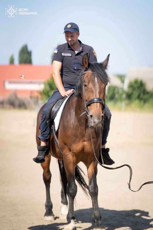 В Одесі триває курс іпотерапії для саперів ДСНС 🐎
Після роботи на деокупованих територіях В Одесі триває курс іпотерапії для саперів ДСНС 🐎
Після роботи на деокупованих територіях