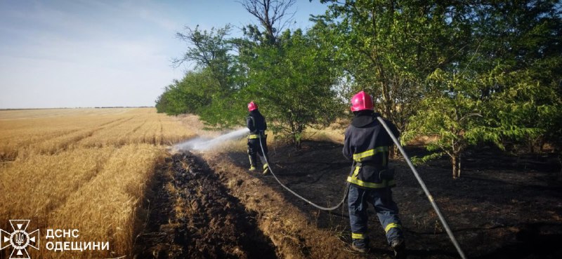 Загинула жінка, ще троє людей дістали травми протягом минулої доби на Одещині внаслідок загорянь сухої рослинності Загинула жінка, ще троє людей дістали травми протягом минулої доби на Одещині внаслідок загорянь сухої рослинності