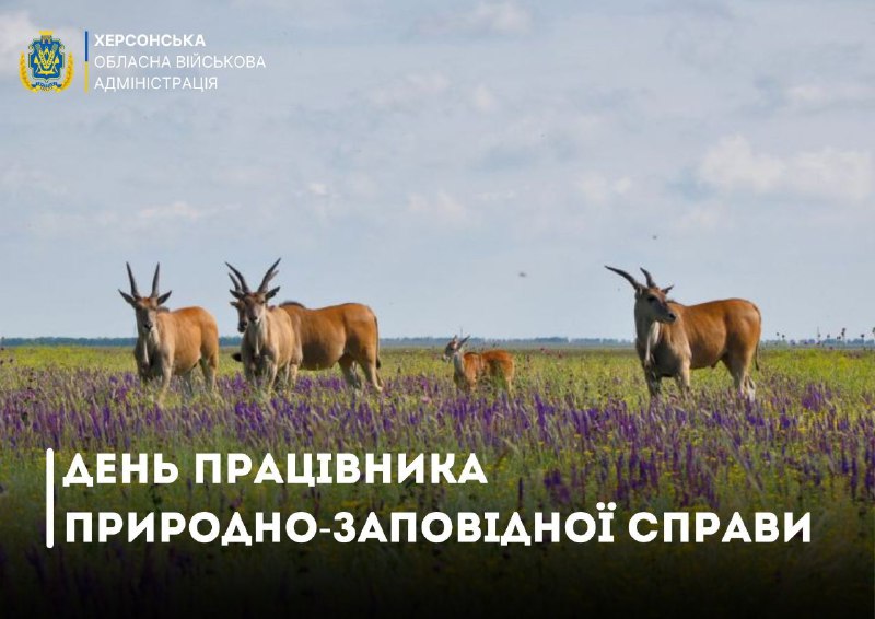 Сьогодні вітаємо тих, чия щоденна праця присвячена захисту природи, її унікальних ландшафтів і різноманіття — працівників природно-заповідної справи Сьогодні вітаємо тих, чия щоденна праця присвячена захисту природи, її унікальних ландшафтів і різноманіття — працівників природно-заповідної справи