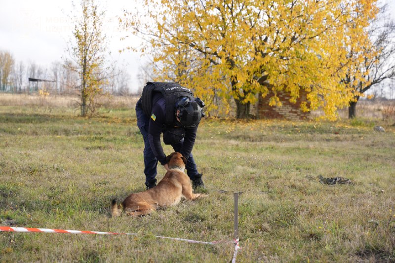 🐕Знайомтеся – це Альф - мінно-пошуковий пес Мобільного рятувального центру швидкого реагування «Суми» ДСНС України 🐕Знайомтеся – це Альф - мінно-пошуковий пес Мобільного рятувального центру швидкого реагування «Суми» ДСНС України