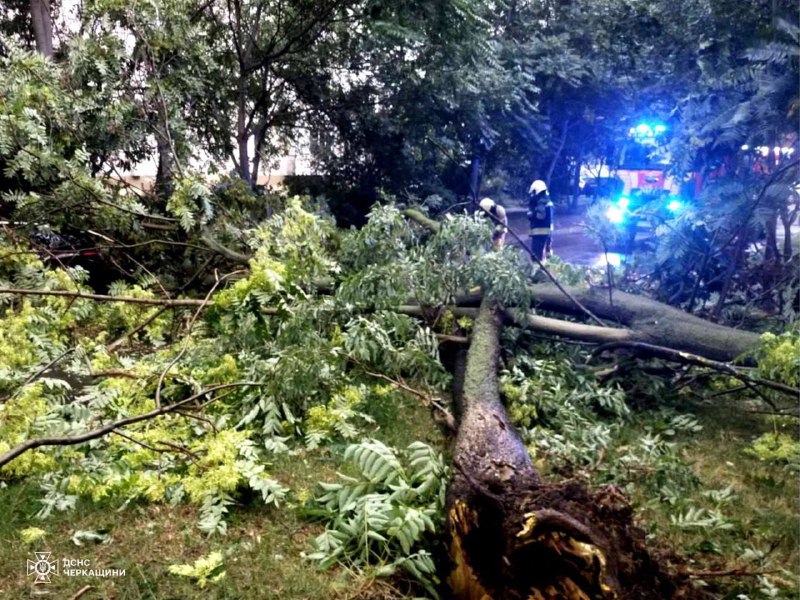 ⛈ Негода в Україні: рятувальники ліквідовують наслідки стихії!
Сильні дощі та шквальний вітер наробили лиха у Києві ⛈ Негода в Україні: рятувальники ліквідовують наслідки стихії!
Сильні дощі та шквальний вітер наробили лиха у Києві