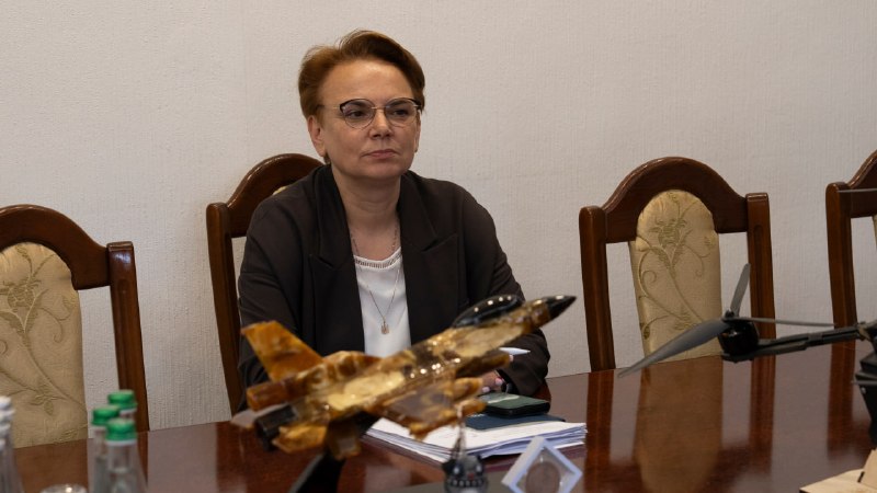 Провів зустріч із радницею з питань національних спільнот Наталією Василенко Провів зустріч із радницею з питань національних спільнот Наталією Василенко