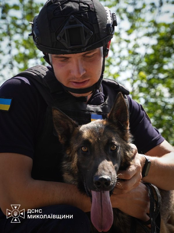 🐕Сьогодні — Міжнародний день собак. Це чудова нагода розповісти про тих, хто пліч-о-пліч із рятувальниками працює там 🐕Сьогодні — Міжнародний день собак. Це чудова нагода розповісти про тих, хто пліч-о-пліч із рятувальниками працює там