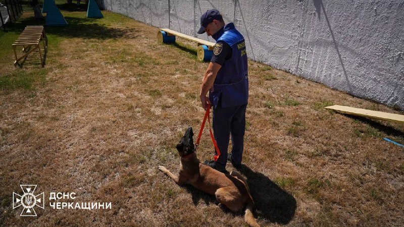 🐕🦺 Службовий пес ДСНС Блерт із Черкащини щодня вдосконалює свої пошуково-рятувальні навички 🐕🦺 Службовий пес ДСНС Блерт із Черкащини щодня вдосконалює свої пошуково-рятувальні навички