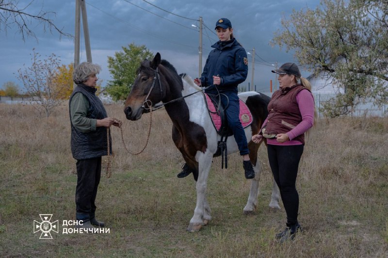 🐎 Іпотерапія як шлях до відновлення
Психологічна підтримка рятувальників Донеччини — важлива складова турботи про тих 🐎 Іпотерапія як шлях до відновлення
Психологічна підтримка рятувальників Донеччини — важлива складова турботи про тих